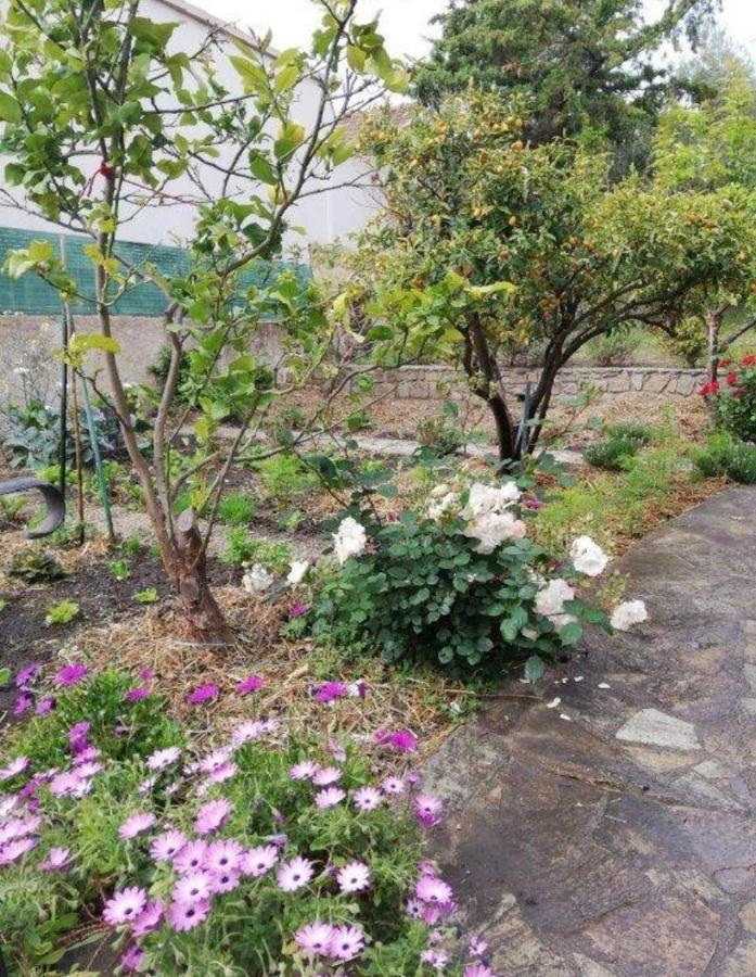 サリ・ソランザラCasa Rossa Solenzaraアパートメント エクステリア 写真